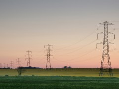 Electricity pylons. Photo by Ian Britton