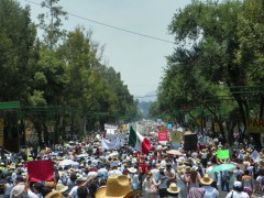 "Movimiento por la Paz con Justicia y Dignidad"