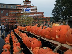 Pumpkin Festival by David Smith CCBy