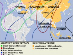 Bird Flu crossing borders: Migratory birds' flyways. UN FAO/OIE. CC BY 2.0.