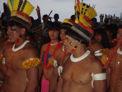 Indígenas de Brasil