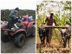 The discrepant routine of a farmer from North Yorkshire, Great Britain and one from Farmer in Kabaune Village, Kenya