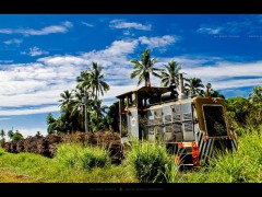 Cane Train, Fiji.