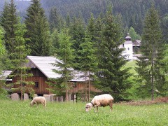 Museum Vychylovka, Slovakia