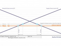 Infographics: Market equilibrium in case of abolishing the import tariff