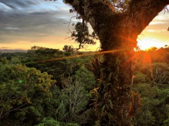 Yasuni National Park in Ecuador